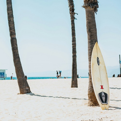 Close to the center of everything a beach with palm trees and a surfboard